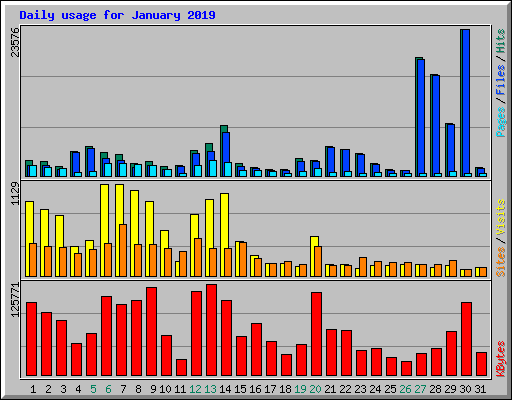Daily usage for January 2019