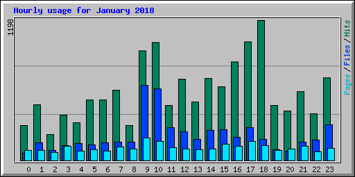 Hourly usage for January 2018