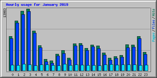 Hourly usage for January 2019