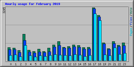Hourly usage for February 2019