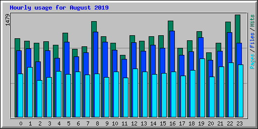 Hourly usage for August 2019