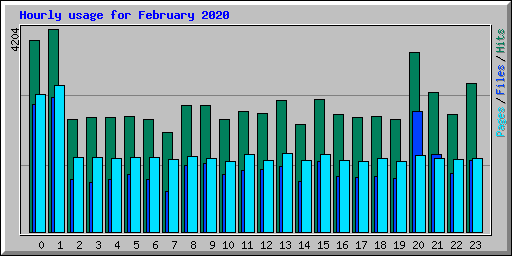 Hourly usage for February 2020