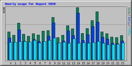 Hourly usage for August 2020