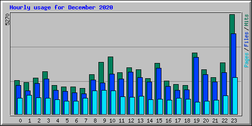 Hourly usage for December 2020