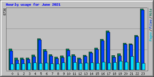 Hourly usage for June 2021
