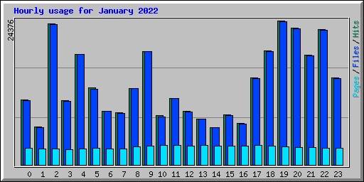 Hourly usage for January 2022