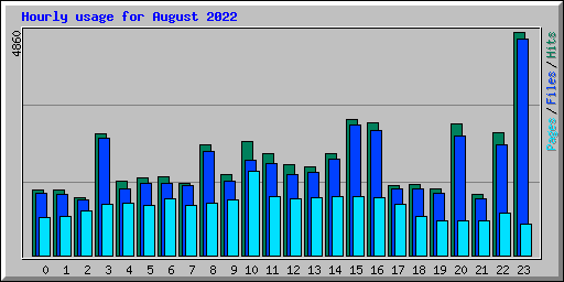 Hourly usage for August 2022