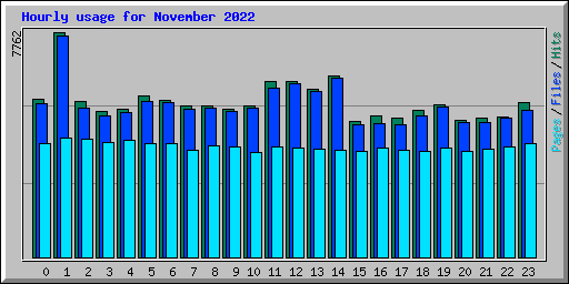 Hourly usage for November 2022