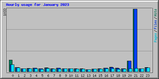 Hourly usage for January 2023